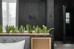 Апарт-отель Be The One Hotel. Люкс двухместный с джакузи и сауной 19